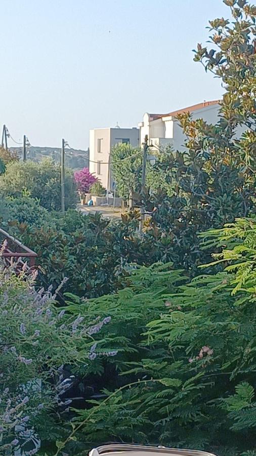 Be-Bu-Mar Apartments Sveti Filip i Jakov Bagian luar foto