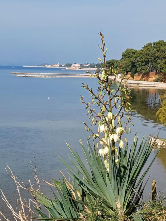 Be-Bu-Mar Apartments Sveti Filip i Jakov Bagian luar foto
